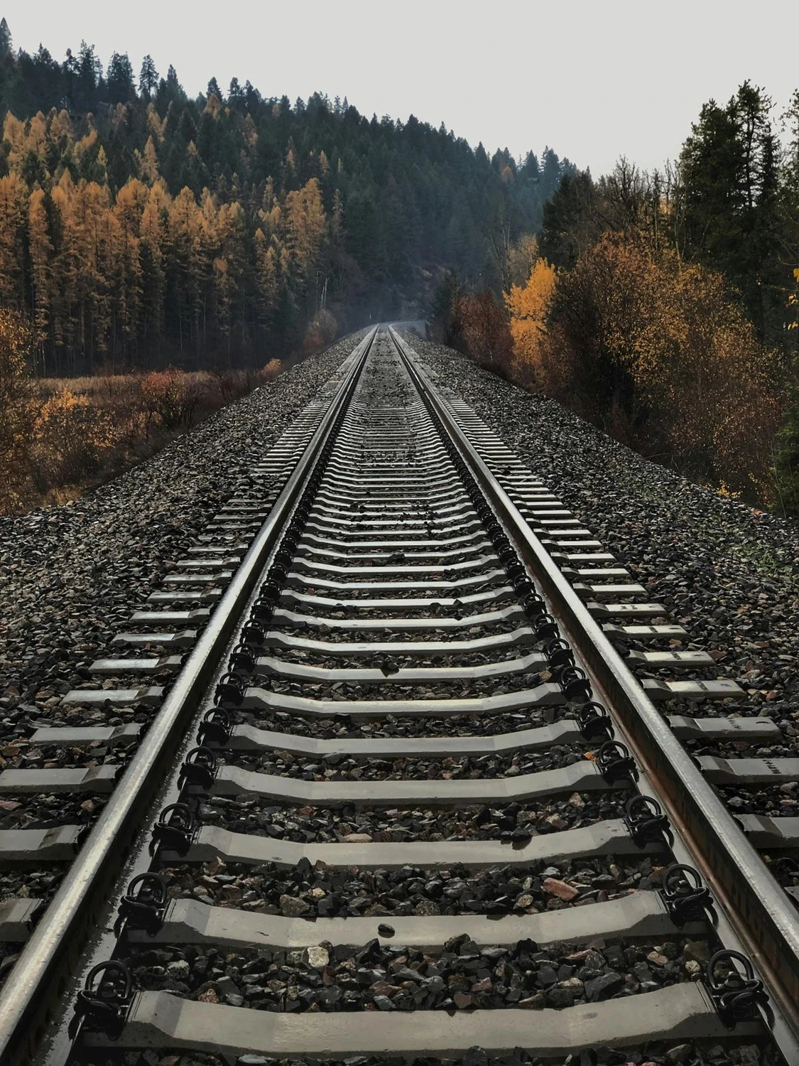 Linelio Personalvermittlung - Raleway Track
